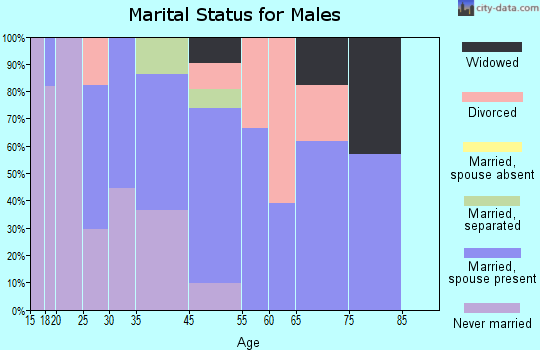 South Henderson marital status for males