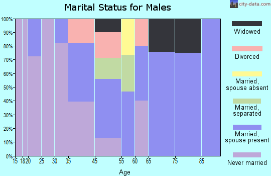 South Weldon marital status for males