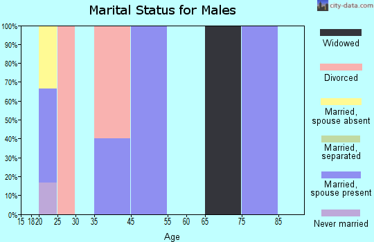 Spencer Mountain marital status for males