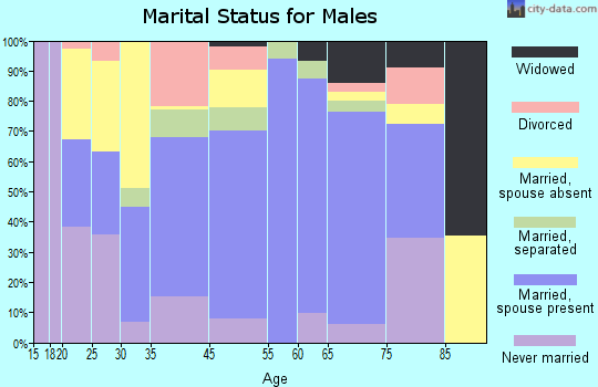 Spindale marital status for males