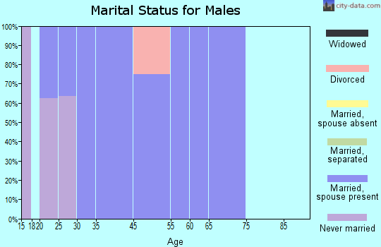 Spiveys Corner marital status for males