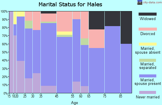 Spruce Pine marital status for males