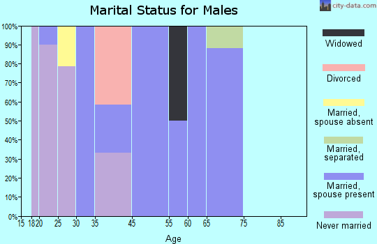 Sugar Mountain marital status for males