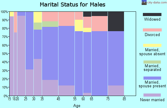 Surf City marital status for males