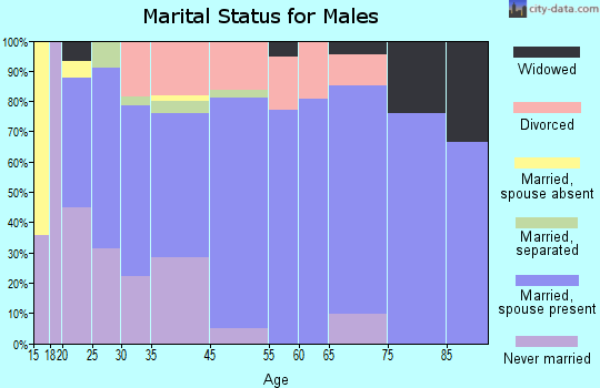 Swannanoa marital status for males