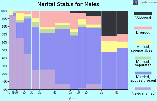 Thomasville marital status for males