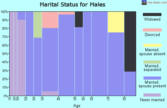 Washington Park marital status for males
