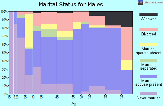 Waynesville marital status for males