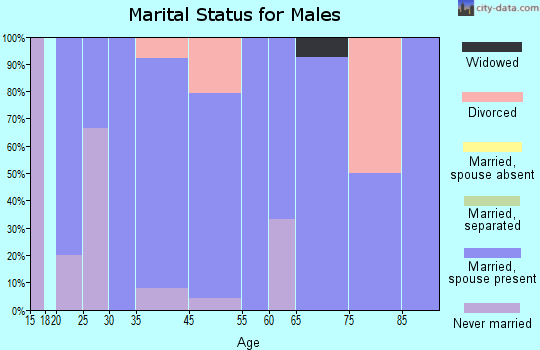 Webster marital status for males