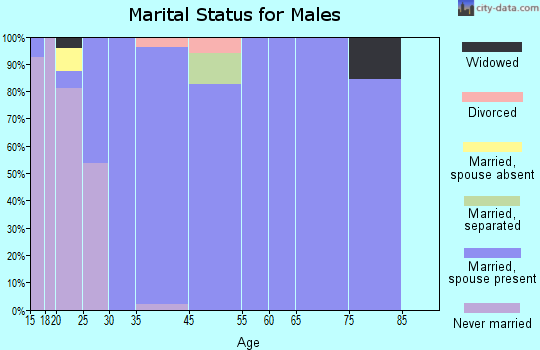 Wesley Chapel marital status for males