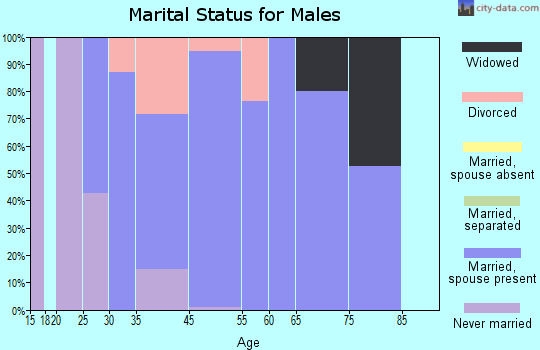 West Canton marital status for males