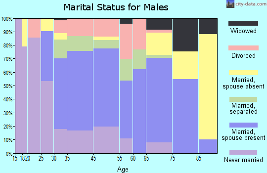 Williamston marital status for males