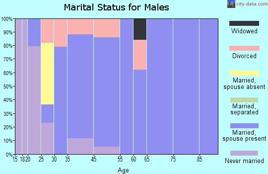 Amesti marital status for males