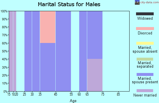 Amenia marital status for males