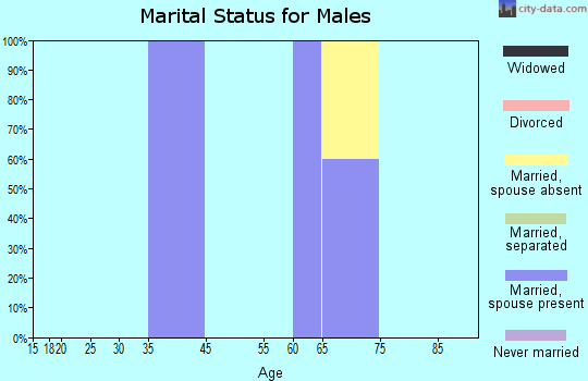 Amidon marital status for males
