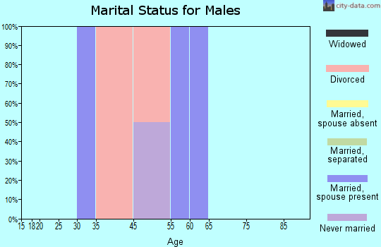 Berlin marital status for males