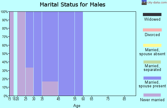 Four Bears Village marital status for males
