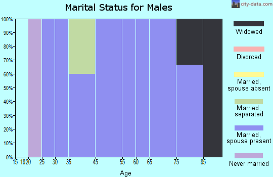 Havana marital status for males