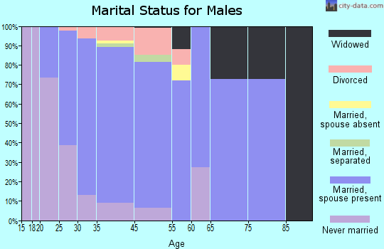 Lincoln marital status for males