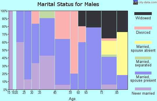 McVille marital status for males
