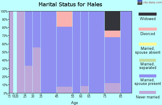 Medina marital status for males