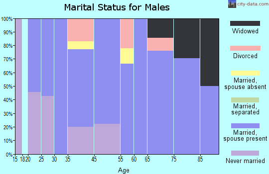 Michigan City marital status for males