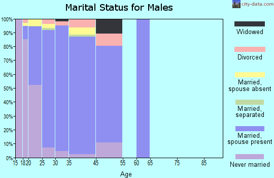 Minot AFB marital status for males