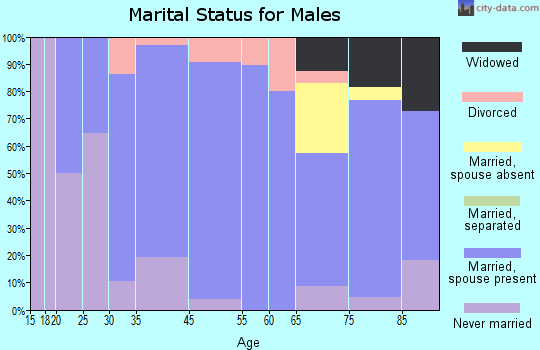 New Salem marital status for males