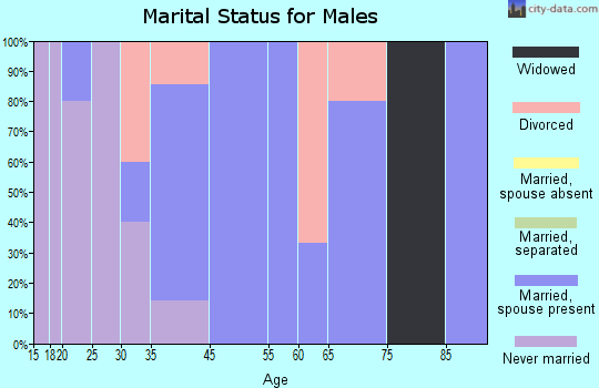 Selfridge marital status for males