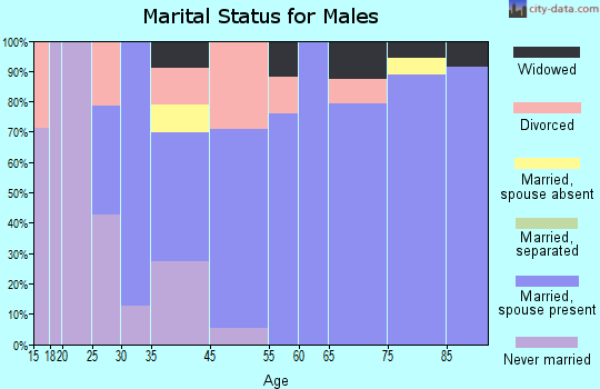 Turtle Lake marital status for males