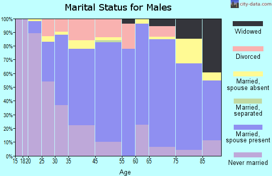 Valley City marital status for males