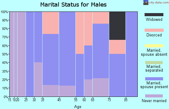 Willow City marital status for males