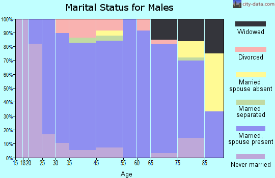 Wishek marital status for males