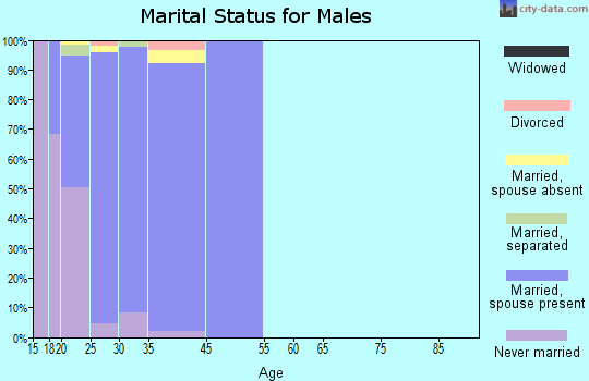 Beale AFB marital status for males
