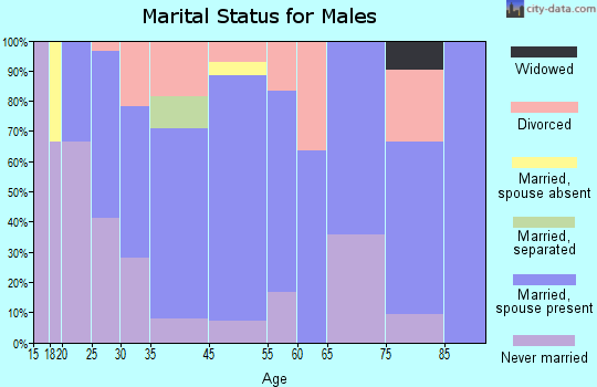 Amsterdam marital status for males