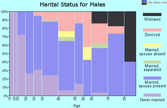 Andover marital status for males