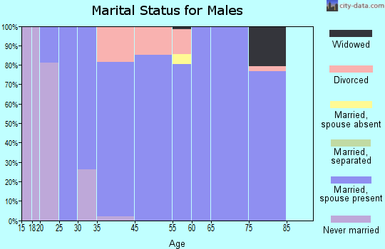 Bear Valley Springs marital status for males