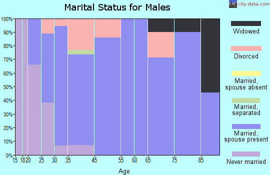Arcanum marital status for males