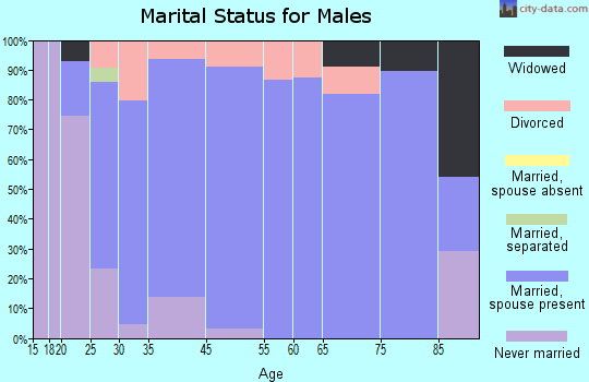 Arlington marital status for males