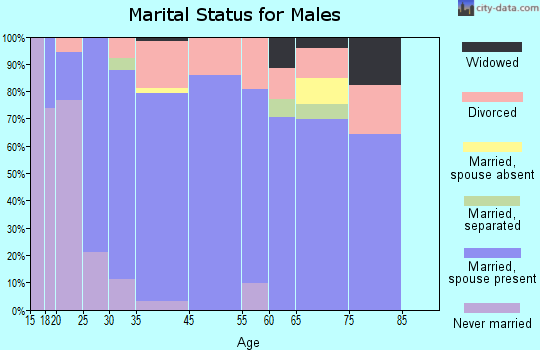 Ashville marital status for males