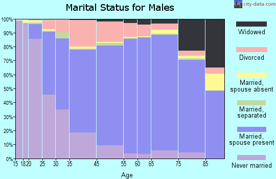 Austintown marital status for males