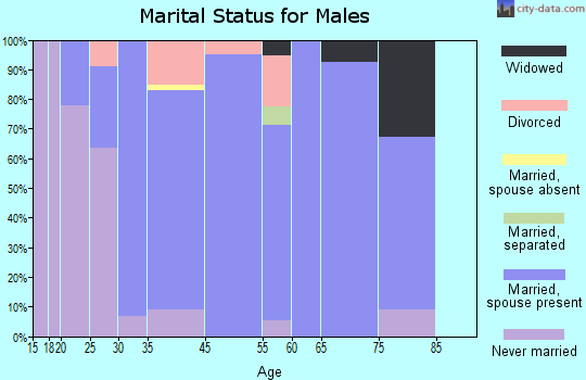 Ballville marital status for males