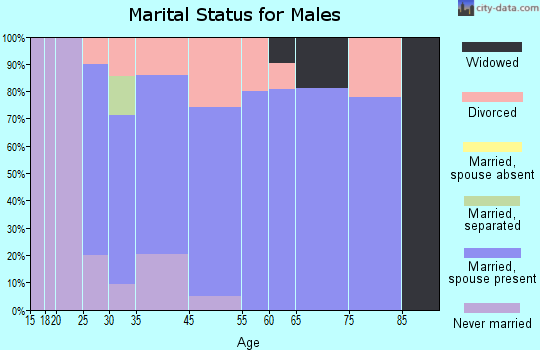 Bay View marital status for males