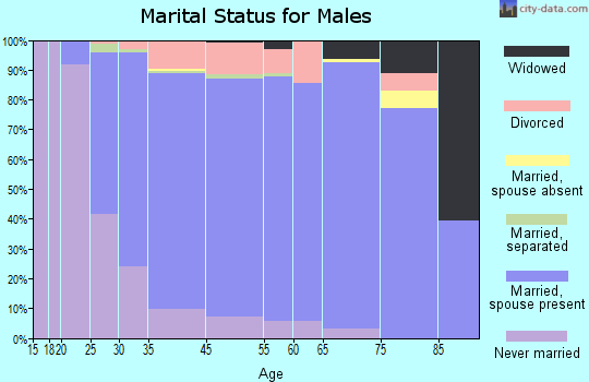 Bay Village marital status for males