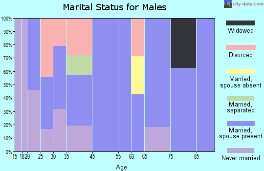 Beallsville marital status for males