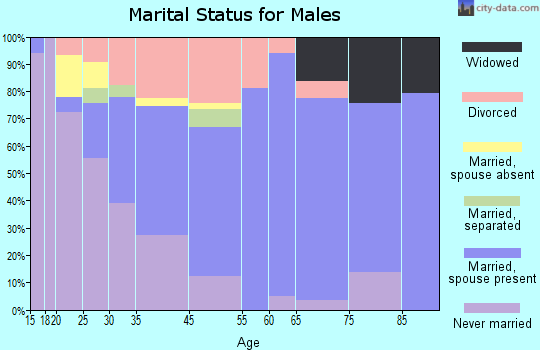 Bellaire marital status for males