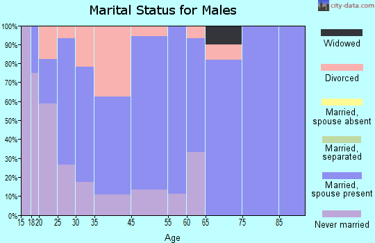 Belle Center marital status for males