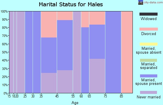 Belle Valley marital status for males