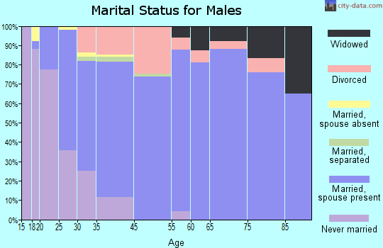Bellville marital status for males