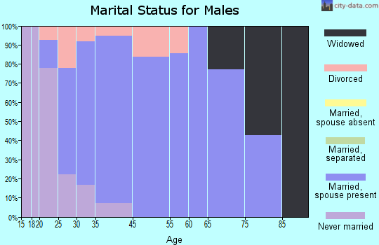 Bloomdale marital status for males